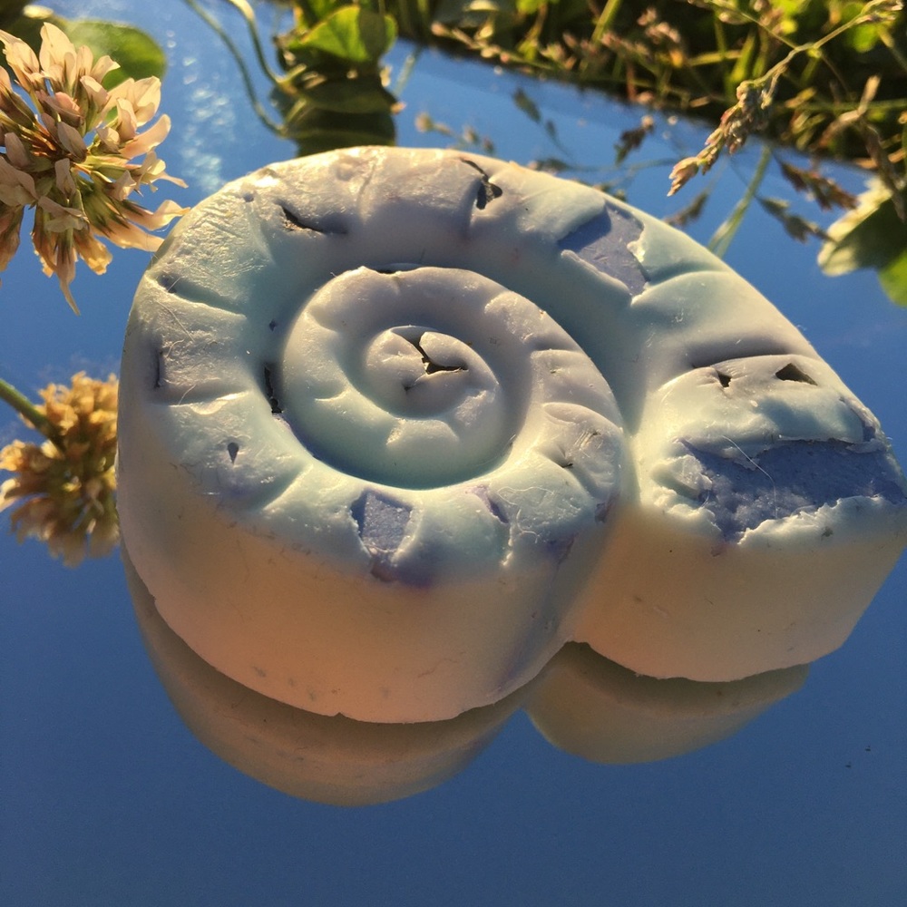 Custom seashell soap bar